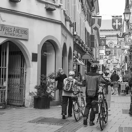 Couvent Du Franciscain Centre ستراسبورغ